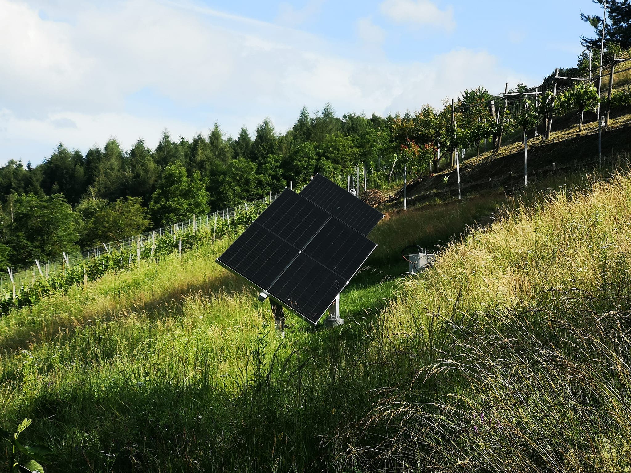 Nachführsystem Photovoltaik.jpeg